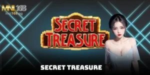 Secret Treasure